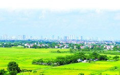 5 trường hợp chuyển mục đích sử dụng đất không phải xin phép từ ngày 1/9/2021