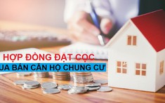 Mẫu hợp đồng đặt cọc mua bán căn hộ chung cư hiện nay