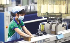 Doanh nghiệp FDI là động lực tăng trưởng xuất nhập khẩu