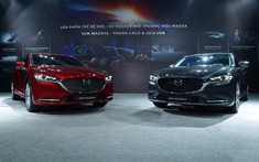 Doanh số phân khúc xe hạng D tháng 8/2021: "Cắm đầu lao dốc" trừ Mazda6