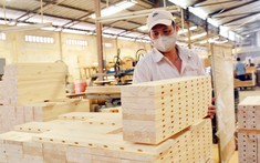 Tháo gỡ khó khăn cho ngành gỗ trong mùa dịch