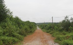 Sóng đất lại nổi ở Ba Vì (Hà Nội)