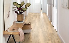 Những lợi ích của sàn gỗ bần có thể thay thế hoàn toàn sàn gỗ thông thường