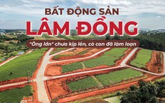 Bất động sản Lâm Đồng: “Ông lớn” chưa kịp lên, cò con đã làm loạn