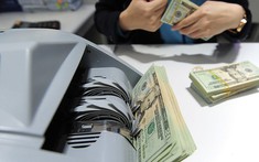 Đầu tư ra nước ngoài của Việt Nam tăng 35,1%