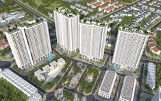 Công ty thành viên của Geleximco huy động 800 tỷ từ trái phiếu, nộp tiền sử dụng đất cho 2 lô đất tại Tuy Hòa, Phú Yên