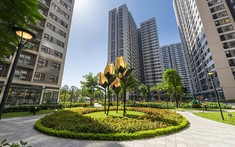 Căn hộ tăng giá không ngờ, 1,5 tỷ khó mua nhà vùng ven Hà Nội