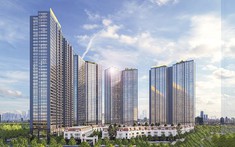 Quý 3 năm 2021: Lợi nhuận của Sunshine Homes tăng 1.177,2% so với quý 3 năm 2020