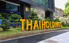 Mua bán cổ phiếu Ngân hàng Bưu điện Liên Việt nhưng không báo cáo, Thaiholdings của Bầu Thụy bị phạt 260 triệu đồng