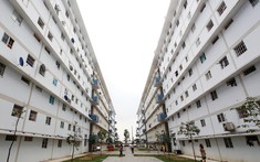 TP.HCM rà soát quỹ đất để xây nhà ở xã hội cho công nhân