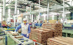 9 tháng, xuất khẩu gỗ và sản phẩm gỗ đạt 11,11 tỷ USD