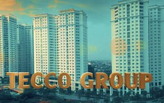 Tecco Group – hành trình 20 năm dựng xây tổ ấm khắp Việt Nam