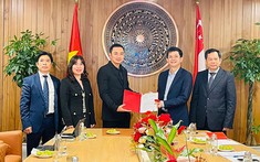 Quảng Trị xúc tiến đầu tư dự án cảng hàng không và loạt dự án ven biển