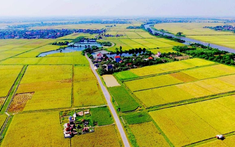 Chuyển đổi quyền sử dụng đất là gì? Có khác với chuyển nhượng, chuyển mục đích sử dụng đất?
