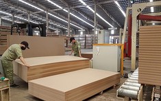 Tháng 10/2021, xuất khẩu gỗ và các sản phẩm gỗ tăng mạnh