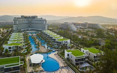 Cổ phiếu của Tập đoàn C.E.O tăng kịch trần 6 phiên liên tiếp, bất chấp bị đưa vào diện cảnh báo, kinh doanh thua lỗ