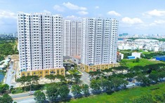 Cổ phiếu tăng giá sốc, cổ đông lớn Hoàng Quân Group muốn bán gần hết vốn để chốt lời
