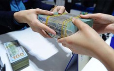 Từ 15.1.2022, ngân hàng không được mua trái phiếu doanh nghiệp trong trường hợp trái phiếu phát hành để góp vốn, mua cổ phần