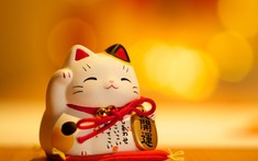 Cách sử dụng mèo Thần tài "chuẩn" phong thủy