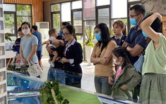 Thị trường BĐS đang ở thời điểm thích hợp để mua vào