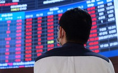 Chứng khoán lao đốc, nhà đầu tư sẽ đổ tiền về đâu?