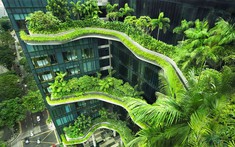 Bất động sản xanh – bài toán dành cho nhà đầu tư