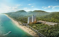 Có 600 triệu đầu tư gì sinh lời hiệu quả?
