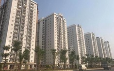 Điểm sáng của phân khúc có lực cầu mạnh nhất thị trường