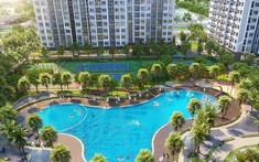 Giá bất động sản liên tục tăng, thị trường có tiềm ẩn bất ổn?