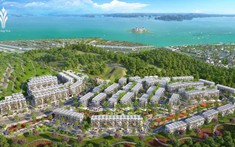 Bim Group trúng đấu giá 5,5ha đất với giá 1.700 tỉ đồng ở Hạ Long