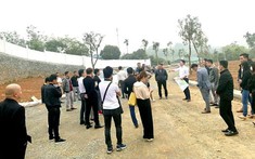 Đâu là thời điểm tốt nhất để mua đất nền?