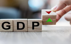 GDP Việt Nam năm 2021 tăng 2,58%