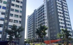 Đà Nẵng bán thí điểm căn hộ nhà ở xã hội đang cho thuê