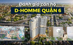 D-Homme - Dự án cao cấp nhất Đại lộ Hồng Bàng có đáng đầu tư?