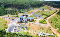 UBND tỉnh Lâm Đồng ‘’lệnh’’ kiểm tra, xử lý thông tin dự án ‘’ma’’, phá rừng tại Bảo Lâm