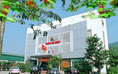 Đại gia bất động sản, cảng biển Hoành Sơn bị phạt trăm triệu vì mua chui cổ phiếu Cao su Sao Vàng