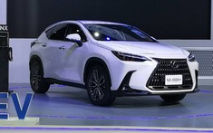 Lexus NX 2022 chính thức ra mắt Đông Nam Á, có phiên bản chỉ tiêu thụ 1,3 lít xăng/100 km, giá từ 2,18 tỷ đồng