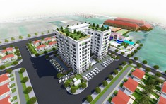 Dự án Tecco Kim Phát Nghệ An