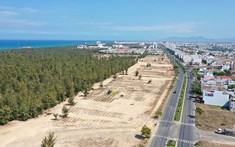 Lượng giao dịch đất nền tại Phú Yên: Chiếm phần lớn ở khu dân cư và chỉ một số ít là trong dự án