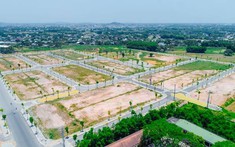Vì sao nhiều cuộc đấu giá quyền sử dụng đất tại Quảng Ngãi bị thất bại?
