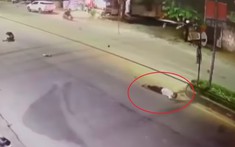 Video: Hai xe máy tông nhau kinh hoàng khiến 1 người đập vào dải phân cách và tử vong tại Bình Thuận