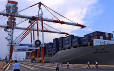 Việt Nam xuất siêu 4 tỷ USD năm 2021