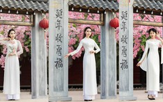 Áo dài cao cấp T&G Store nổi bật trong Lễ hội thời trang Fashion Festival