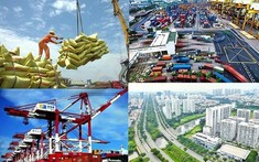 Kinh tế quý I khởi sắc, GDP tăng 5,03%
