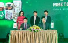 Ra mắt sản phẩm chống tai biến, ngừa đột quỵ