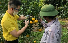 Yên Bái phấn đấu đưa lên sàn thương mại điện tử 100% sản phẩm OCOP đạt 3 sao trở lên