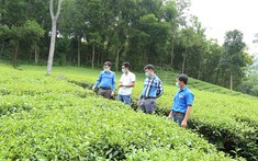 Vai trò của tổ chức đoàn trong chương trình đồng hành với thanh niên khởi nghiệp, lập nghiệp