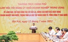 Thủ tướng: Các DNNN phải góp phần quan trọng xây dựng nền kinh tế độc lập, tự chủ và ổn định kinh tế vĩ mô