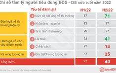 Chỉ số tâm lý người tiêu dùng BĐS giảm so với đầu năm