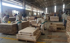 Sản xuất nông nghiệp tăng trưởng trong khó khăn